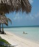 how lush is the caribbean,u shud all go there