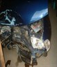 pic of my accident