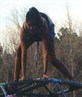 JungleGym3