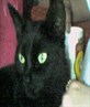My ikkle Devil xD