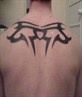 my latest tattoo