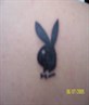 my tattoo