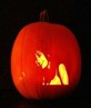 my pumpkin