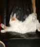 what a life