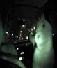 look! its Stephan from the Mr.Oizo Video!!