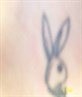 my play boy tatoo!!!!