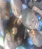 the school i when to in africa