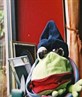 the frog