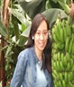 my banana plantation