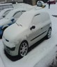 Snowy Clio