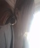abby keegan_x