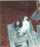 when I first got my puppy 