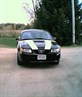 My Mustang!