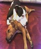 KAI N TAI