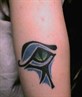 eye of horus on the back of my right arm