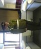 Me in No2s