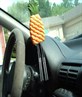 thats my pineapple in ma car