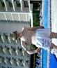 me in benidorm