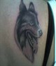 tattoo on my back of my dog pip who died :-(