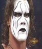 Sting The Wrestler