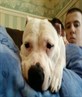 aww my doggie (face on me i was eatin =p)
