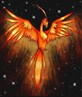 A Phoenix Rising