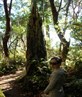 Picnic in the woods! 