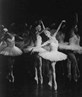 chorus of swan lake
