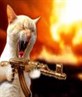 when kitty says 