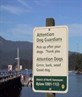 see dogs can read!