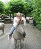 NO donkey jokes.