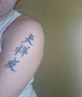 tattoo on my left arm