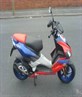 My ped lol