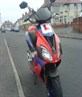 My ped 2 lmao