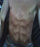 The Body