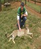 Stroking a pussy!