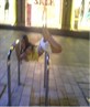 lol another night out 