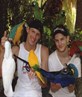 Parrotts in Gran Canaria