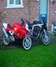 the red cbr 600 is for sale £950 ovno!
