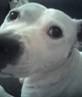 my baby zola