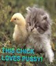 ^^self explanitory^^