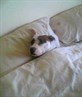 My baby asleep