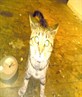 HA! miffin the nutter cat lol