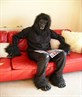 Entertaining at a Children's Party