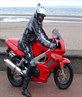 my honda firestorm...loved it