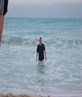Dolphin Beach Cancun