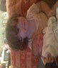 ma niece wit morgan