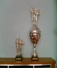 My Welsh 2006 Tae Kwon-Do Title