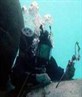 a navy diver