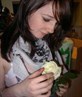 pretty flower